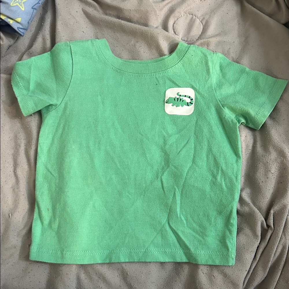 Green Kids T-Shirt with Dinosaur Print